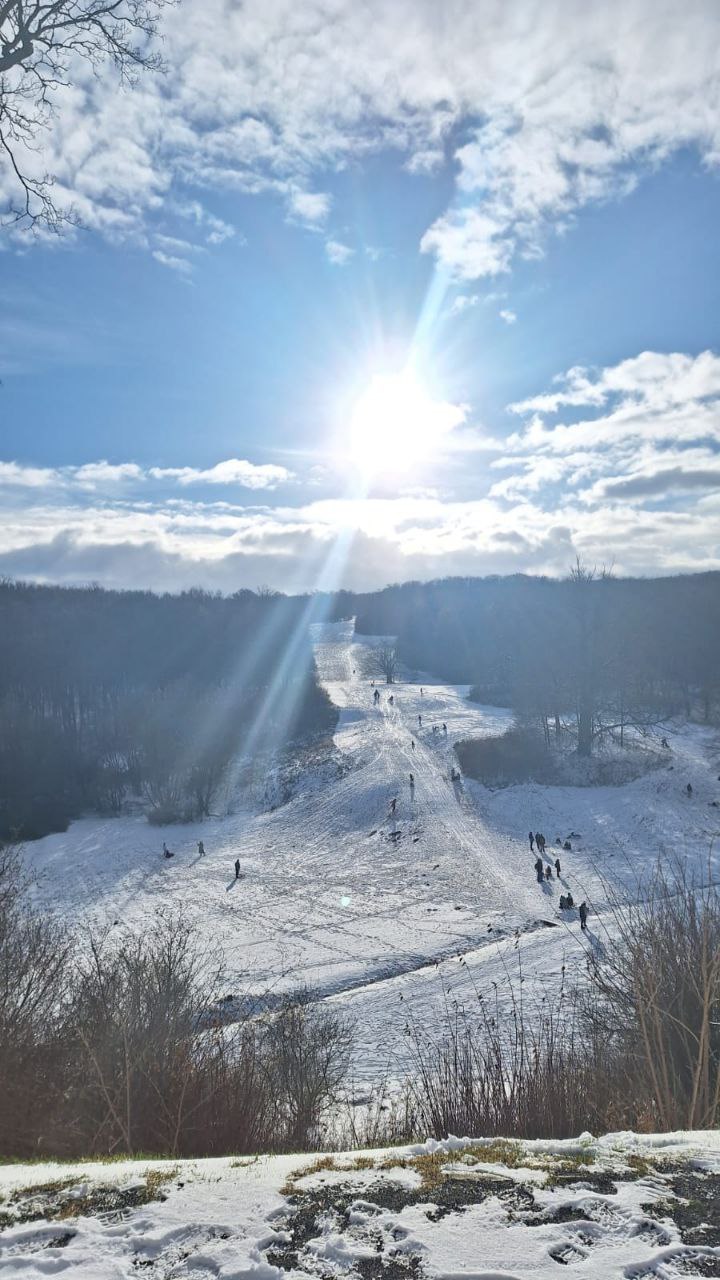 Ettersberg Winter Schlitten 2.jpg